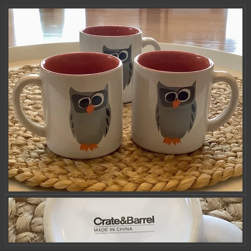Crate & Barrel Owl Coffee Mug Cup Three Piece Matching Set 8 Ounces * Dual sided